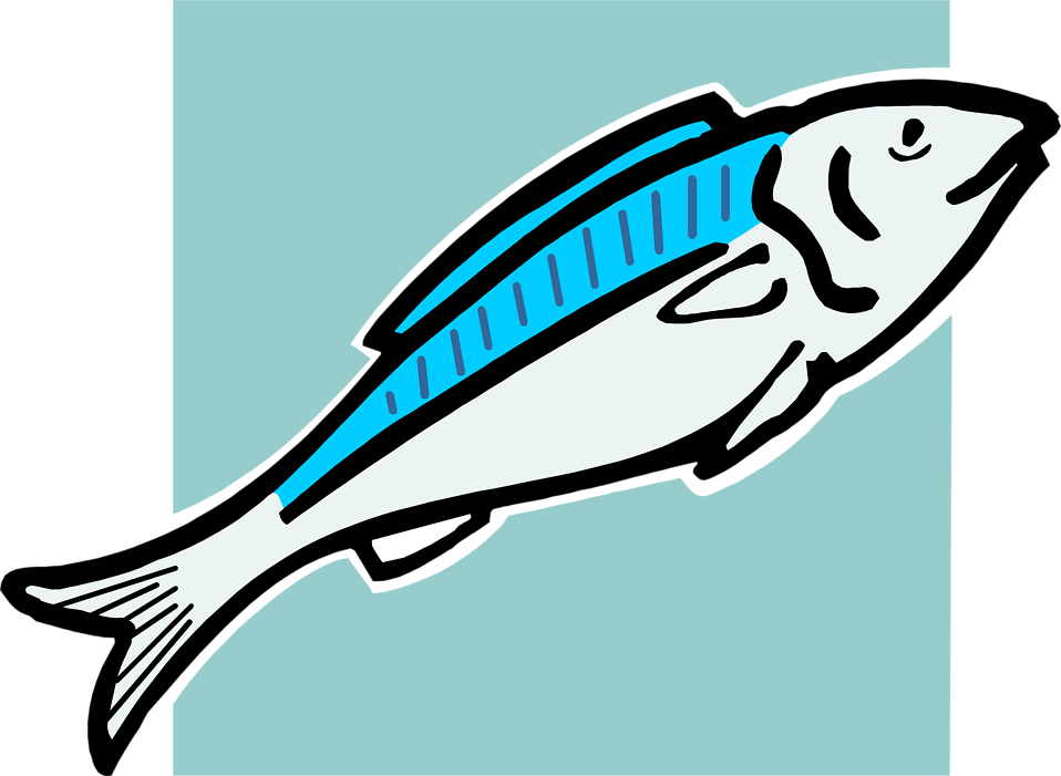 Fish   Free Stock Photo   Illustration Of A Blue Fish     4339