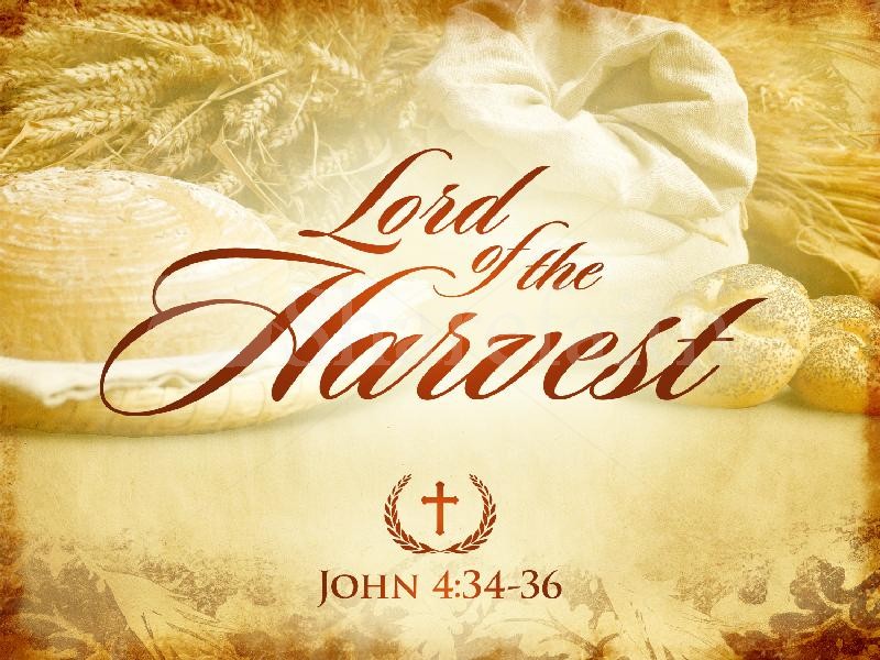 Lord Of The Harvest   Kingdom Living Miracles