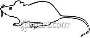 Simple Mouse Outline   Royalty Free Clipart Picture
