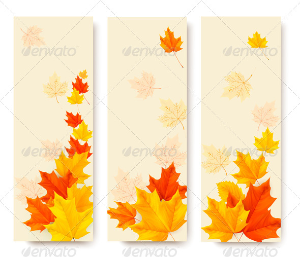 01 Three Autumn Banners With Colorful Autumn Leaves Jpg