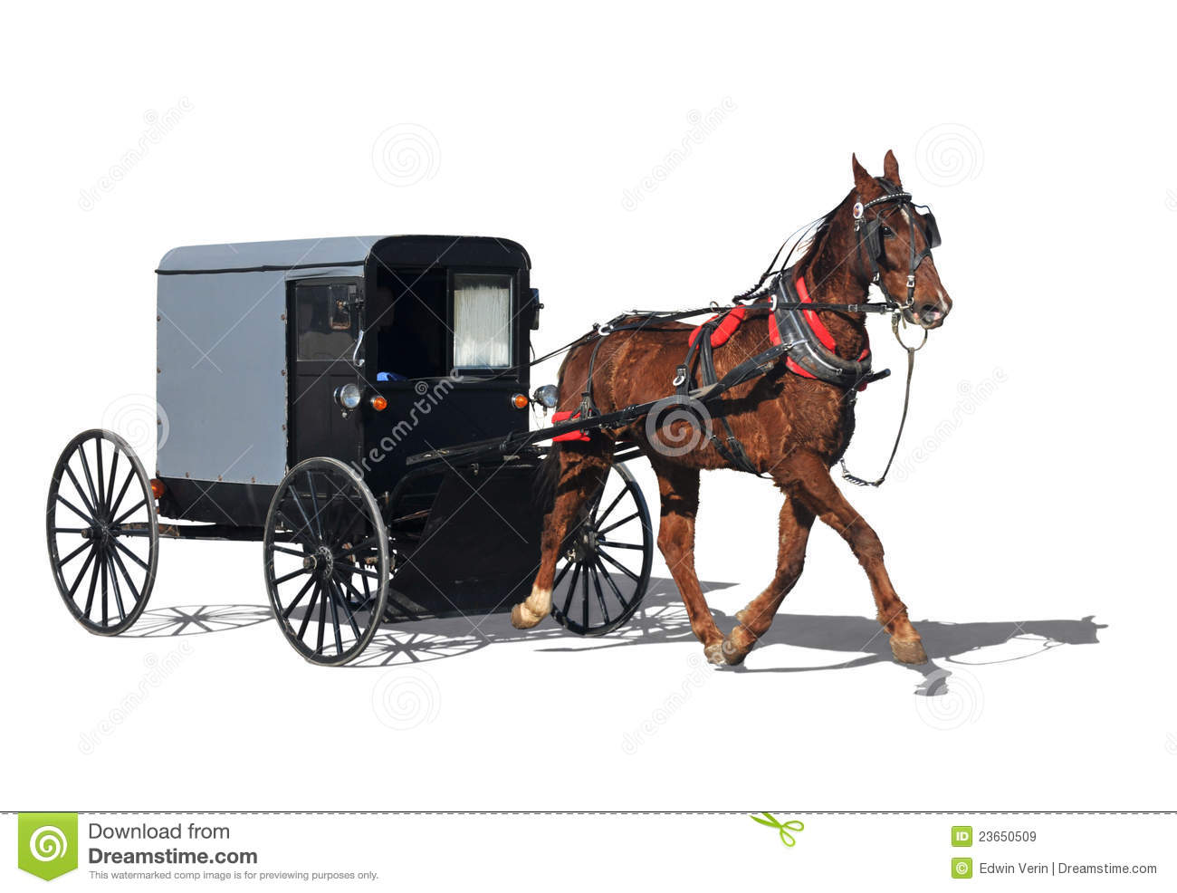 Amish Horse Drawn Carriage Royalty Free Stock Images   Image  23650509