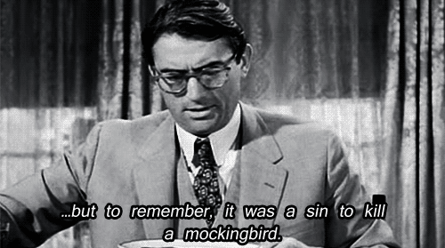 Atticus Finch Quotes Sin To Kill A Mockingbird   To Kill A Mockingbird