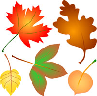 Autumn Leaves Clip Art Fall Foliage 4 Seasons Graphics