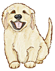      Com Animals Dogs G Golden Retriever Golden Retriever Puppy Png Html