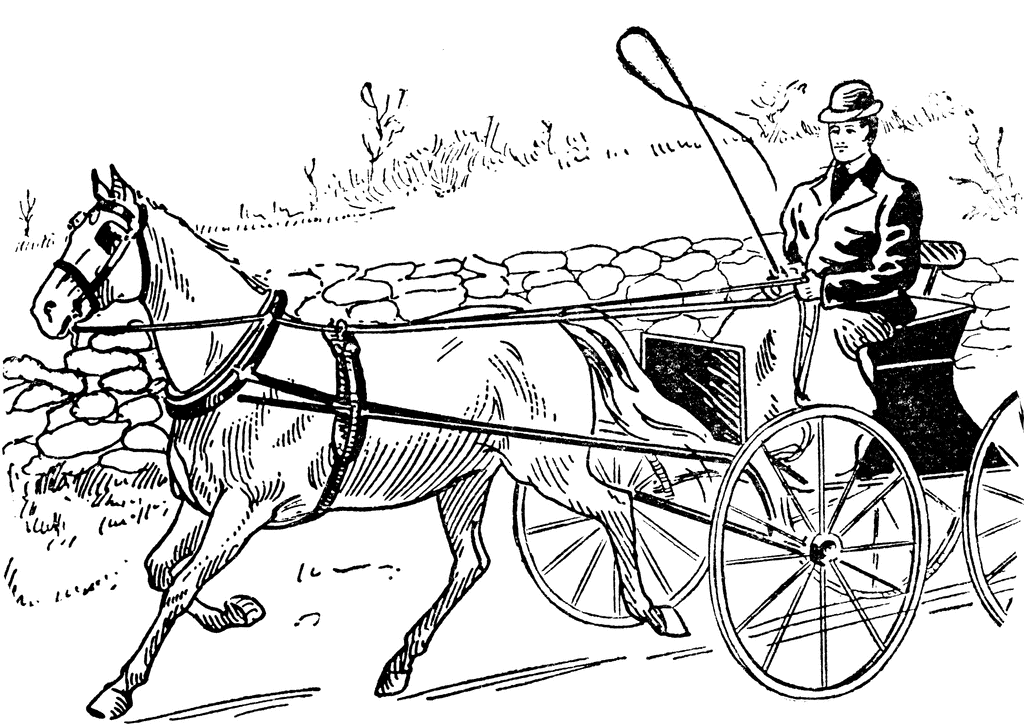 Horse And Buggy Clip Art