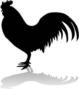 Of A Rooster With A Drop Shadow Isolated On White Background