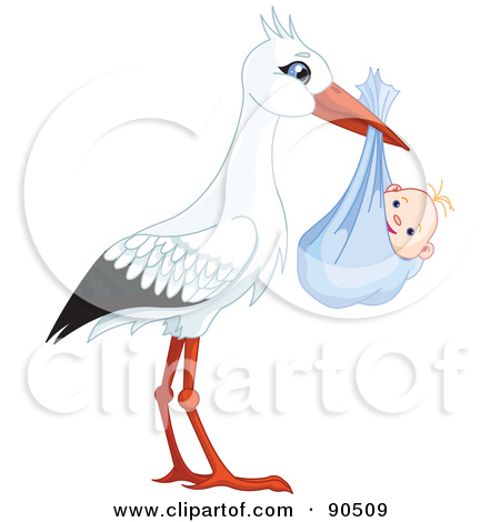 Royalty Free  Rf  Clipart Illustration Of A White And Black Stork