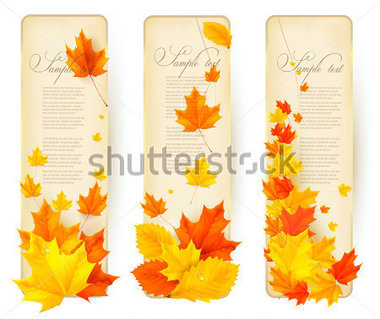 Three Autumn Banners With Colorful Leaves Vector Flowers   Plants    