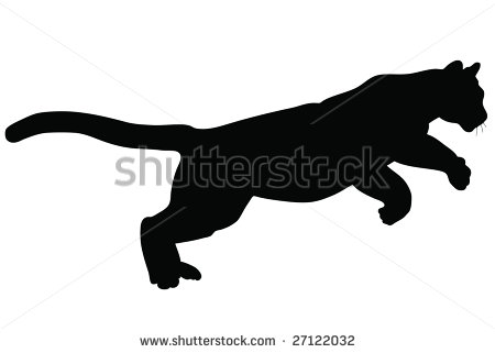 Tiger Jumping Stock Photos Images   Pictures   Shutterstock