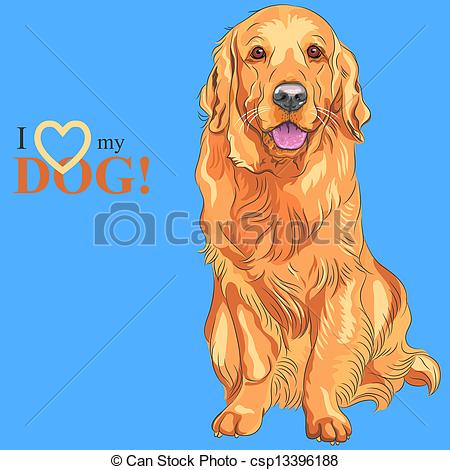 Vector Of Vector Dog Breed Golden Retriever   Smiling Red Gun Dog