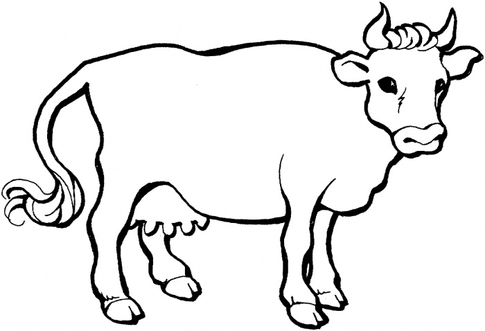 Cow Coloring Pages For Kids