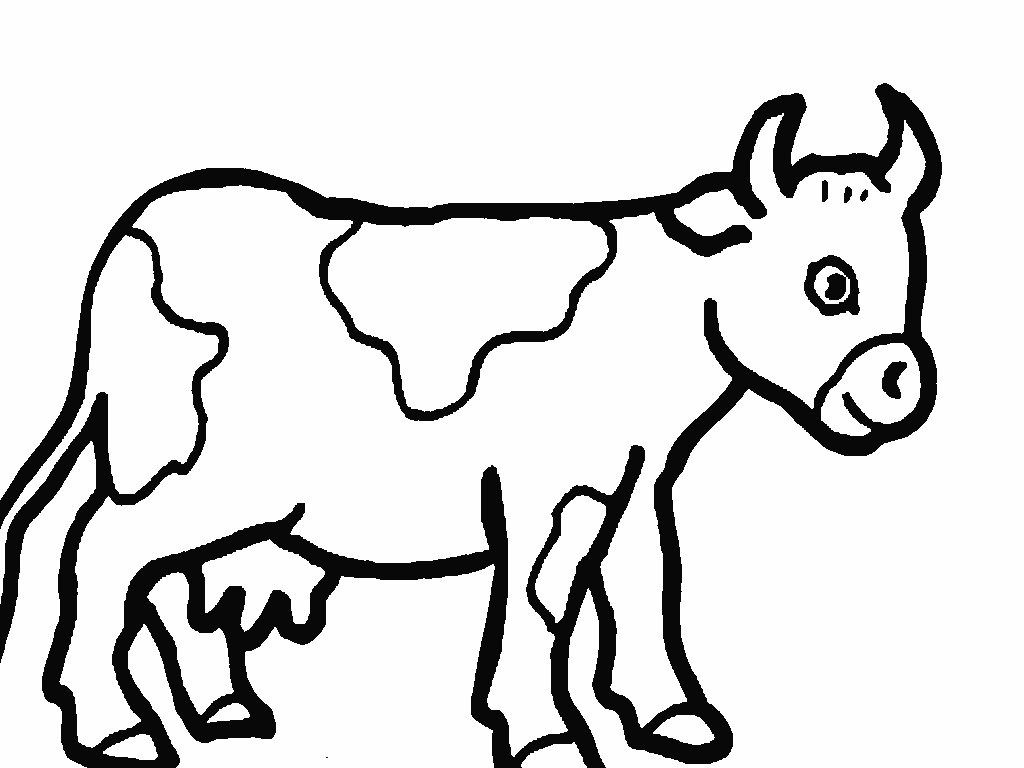 Free Coloring Pages Cow   Kids Activities