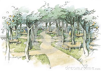 Olive Garden Landscape Natural Park