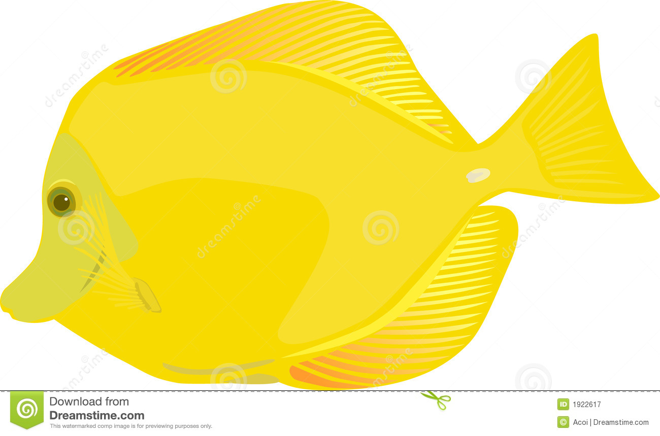 Yellow Tang Fish Yellow Tang Fish Cartoon