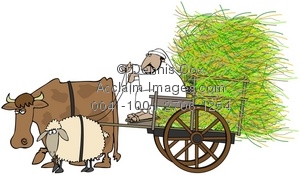 Clipart Illustration  Man Driving A Hay Cart