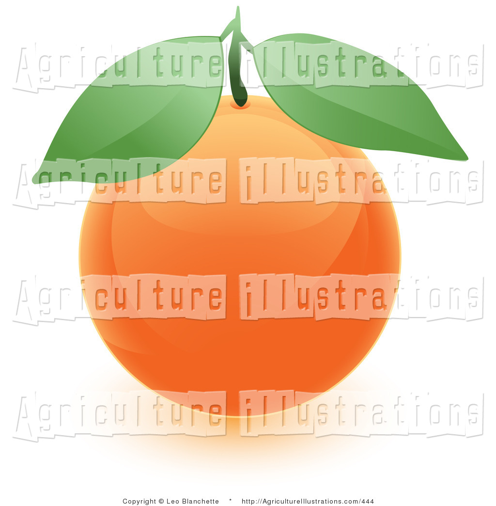 Fresh Produce Clipart Agriculture Clipart Of A Fresh