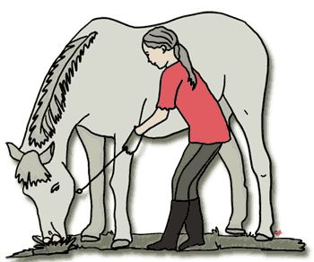 Horse Clipart Echo S Free Horse And Pony Clipart To Download Clipart