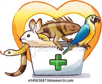 Stock Illustration Of Pet Care U14563687   Search Eps Clipart