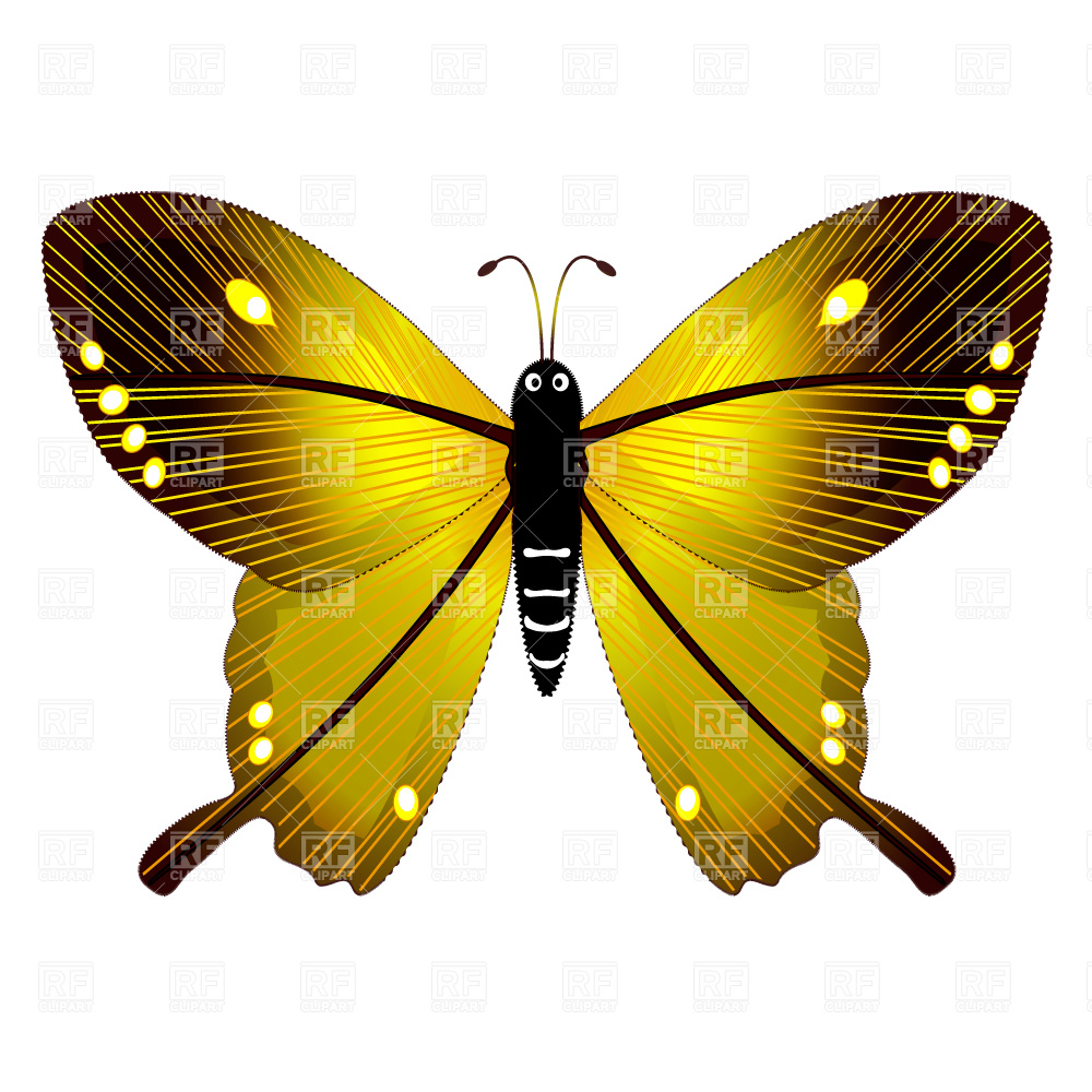 Butterfly 2388 Plants And Animals Download Royalty Free Vector Clip
