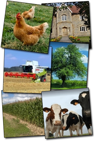 Farm Consultant Image Search Results