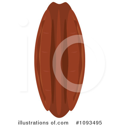 Pecan Clipart  1093495 By Randomway   Royalty Free  Rf  Stock
