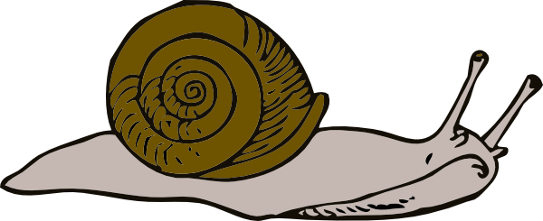 Slow Snail Clip Art At Clker Com   Vector Clip Art Online Royalty