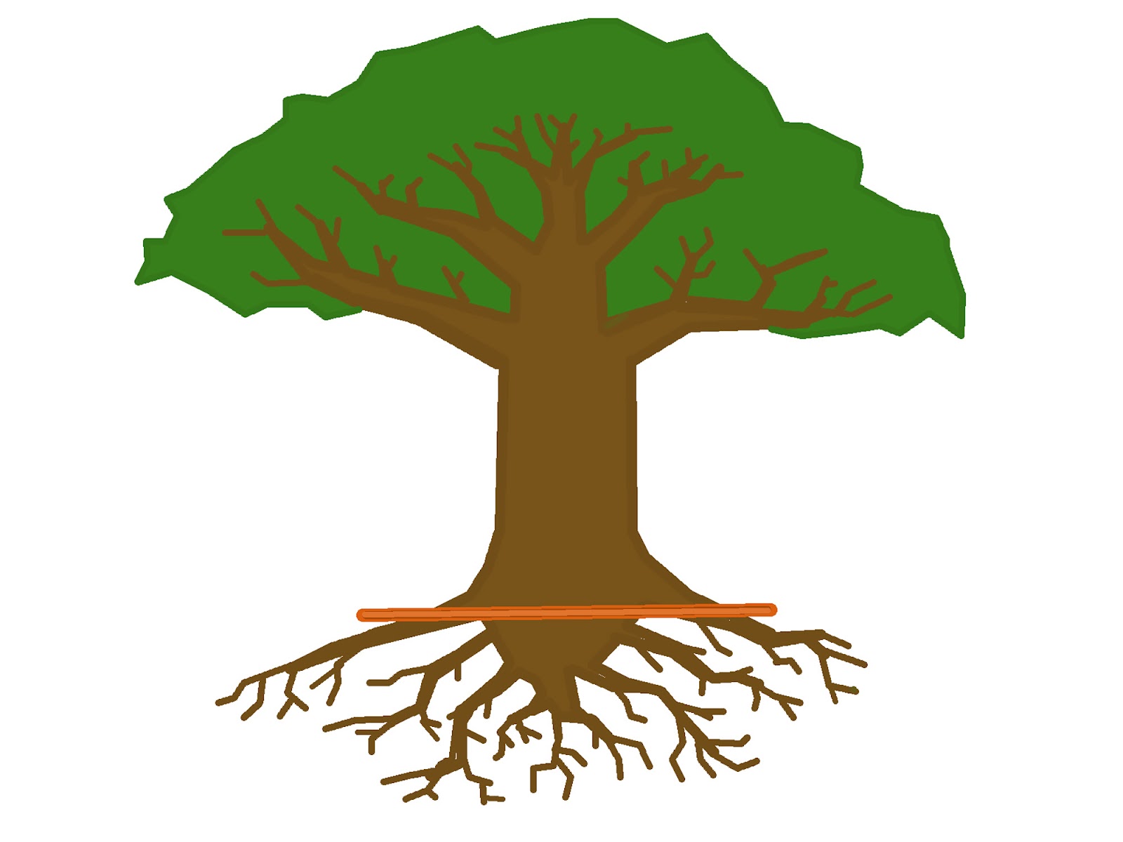 Trees With Roots   Clipart Best