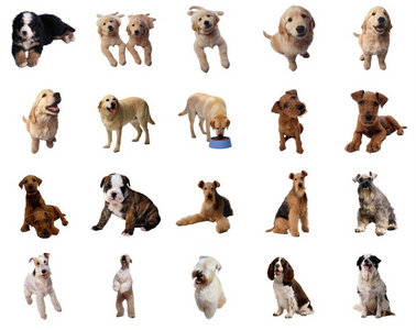 Cliparts Dogs
