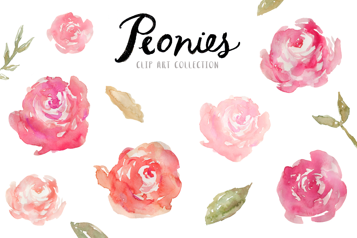 Displaying 20  Images For   Watercolor Peony Clipart   