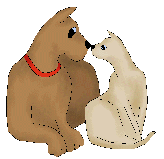 Dogs And Cats Together Page 6   Dog And Cat Touching Noses   Dogs And