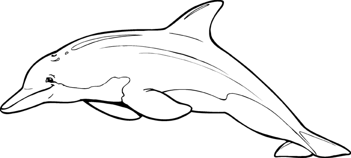 Lp O Ff Img01 Dolphin Dolphin Clipart