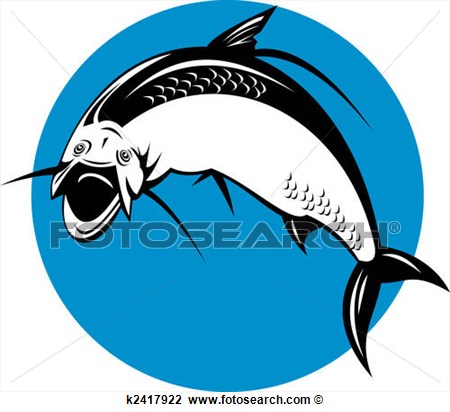 Tarpon Fish Clipart   Free Clip Art Images