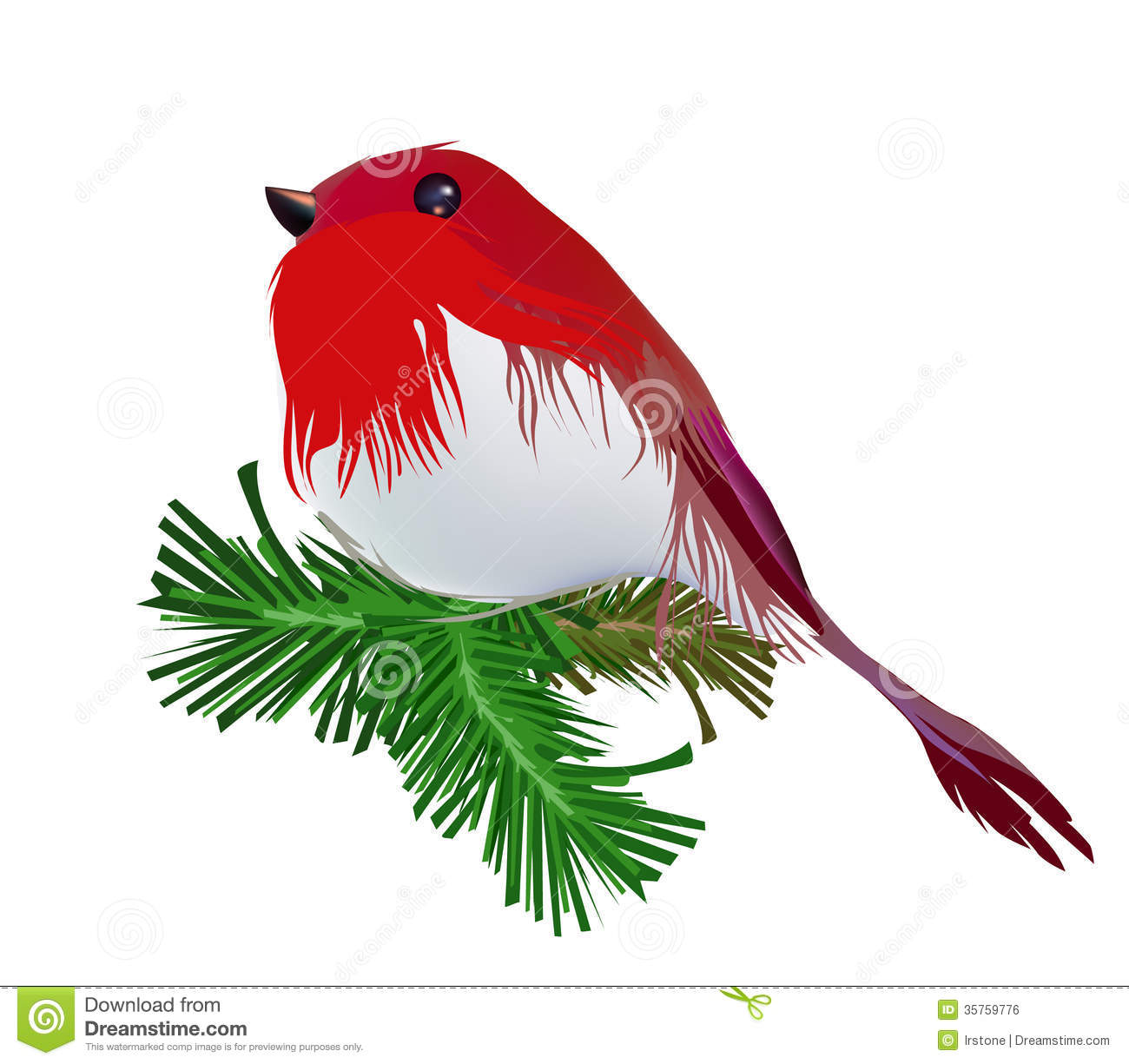 Christmas Bird Robin Royalty Free Stock Image   Image  35759776
