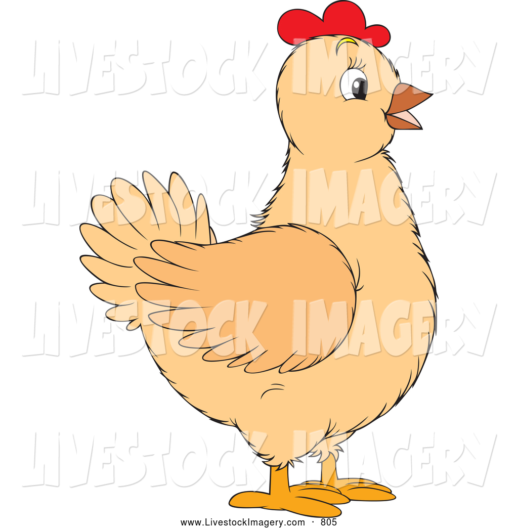 Cute Chicken Clipart Clip Art Of A Cute Beige