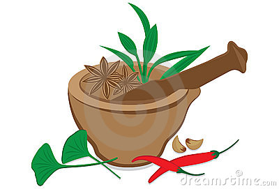 Herbs And Spices Clipart Herbs And Spices Stock Images  Spice