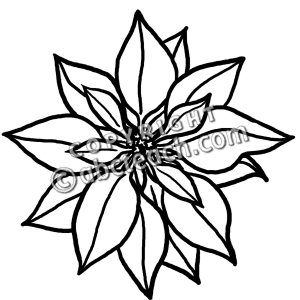 Poinsettia Clip Art In Black And White  An Illustration Of The Plant