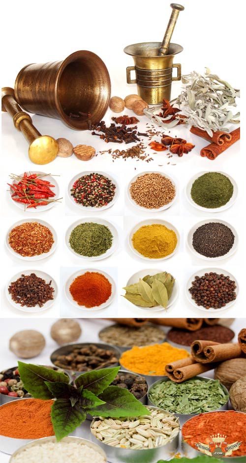 Popular Asian Spices Clipart   Peppers Nutmeg Cinnamon Etc