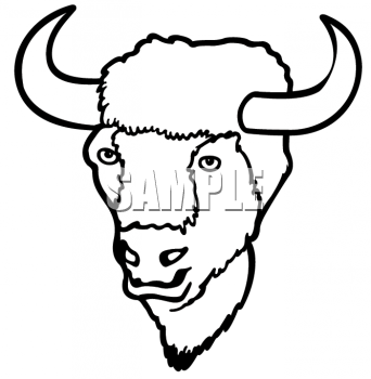 Animal Clip Art Animal Images Animal Clipart Net Clipart Of A Bison
