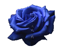 Blue Rose Clipart Flower Pictures Pic  21