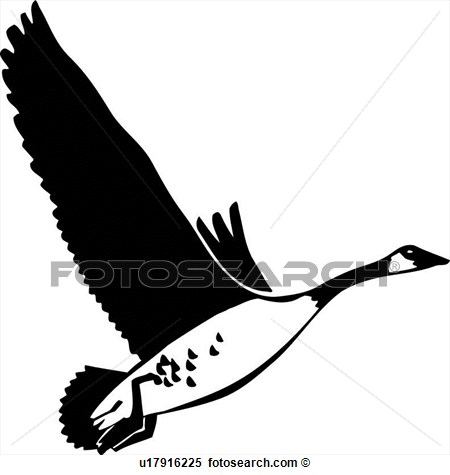Canadian Goose View Large Clip Art Graphic