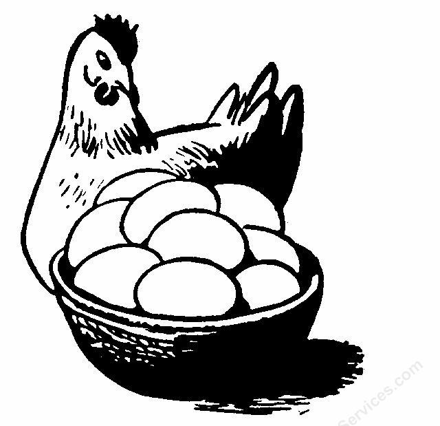 Chicken And Eggs   Garden Clipart