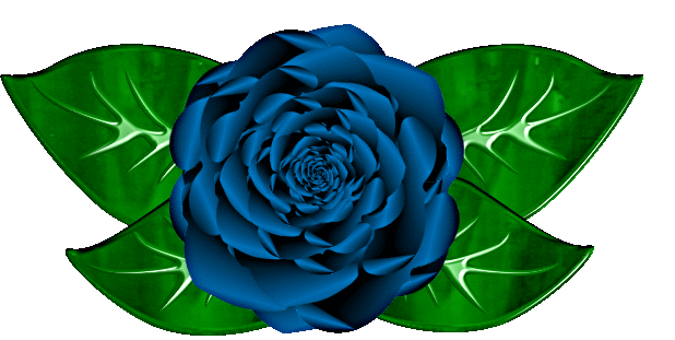 Clipart   Flowers   Blue Rose