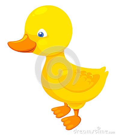 Cute Duck Stock Photo   Image  26185070