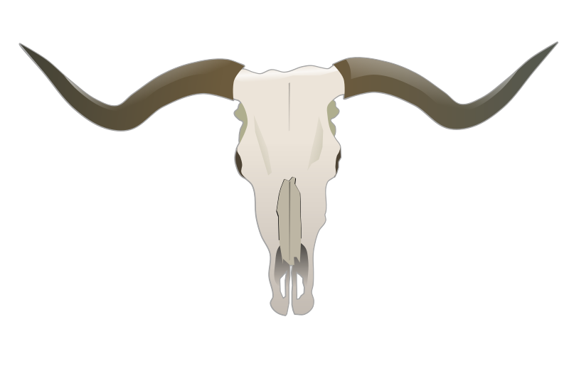 Free Clipart  Longhorn Skull   Animals   Gnokii