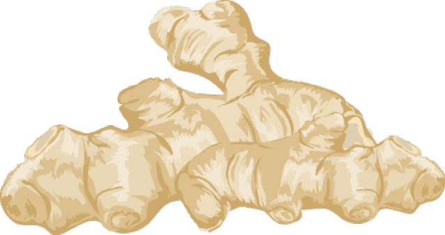Ginger Root Spice Clipart Graphic