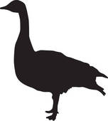 Goose Clipart And Illustration  1266 Goose Clip Art Vector Eps Images