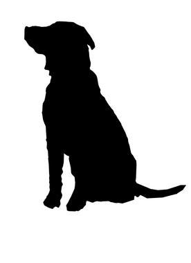 13 Labrador Retriever Silhouette Free Cliparts That You Can Download