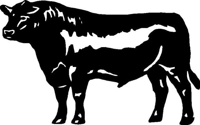 Black Angus Steer Cow Stickerdecalgraphic