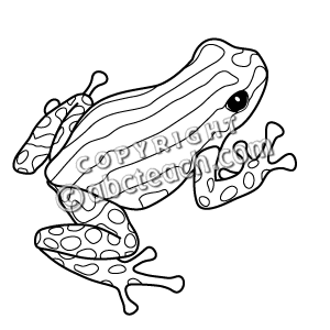 Clip Art  Frogs  Pasco Poison Dart Frog B W   Preview 1