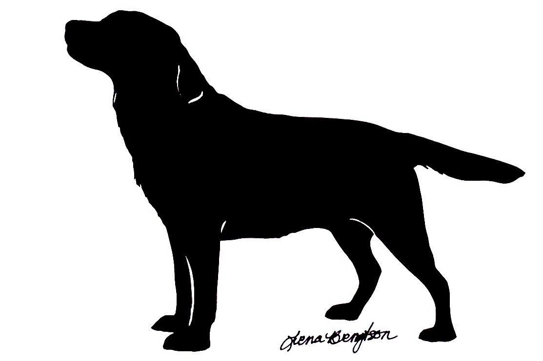 Displaying Images For   Maltese Puppy Silhouette   